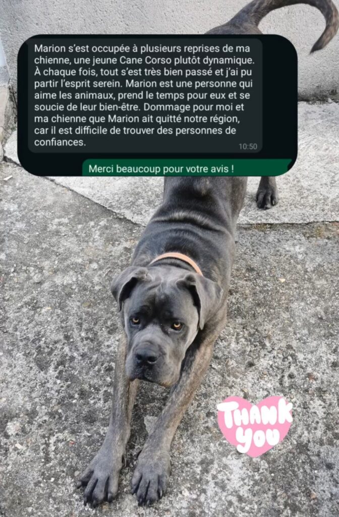 screenshot 20251126 201022