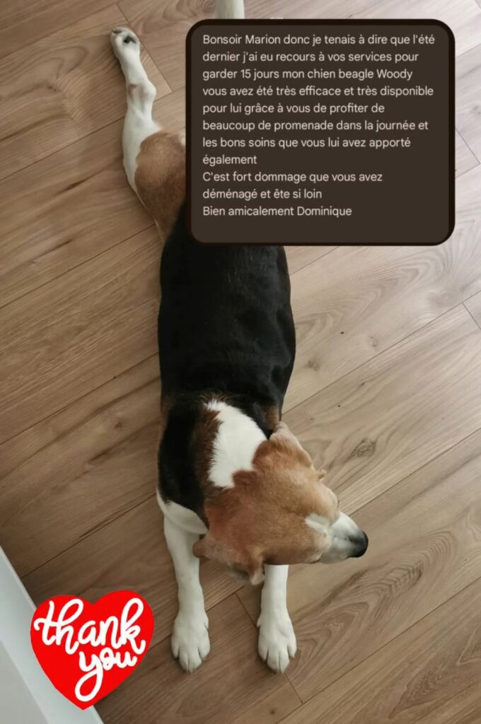 screenshot 20251126 201030