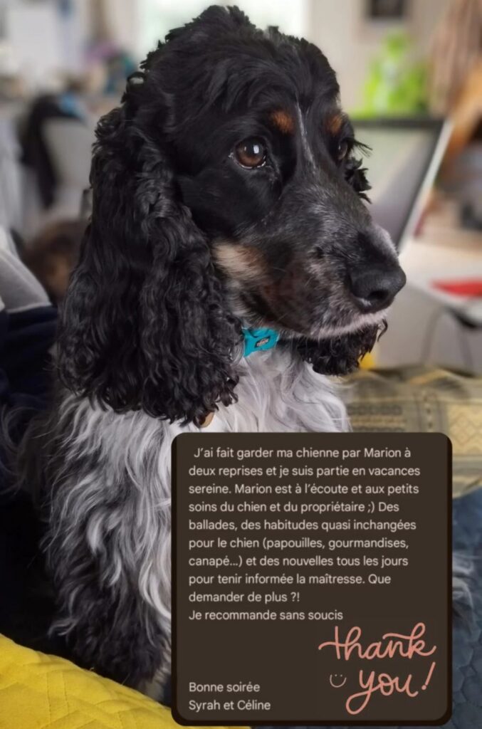 screenshot 20251126 201043