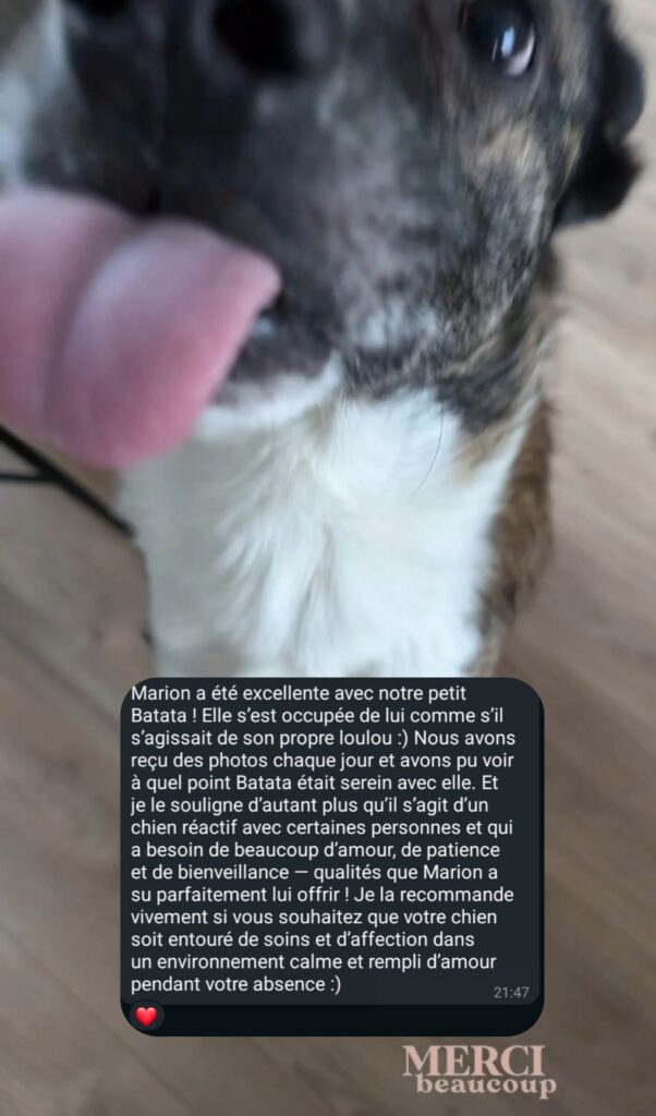 screenshot 20251126 201052