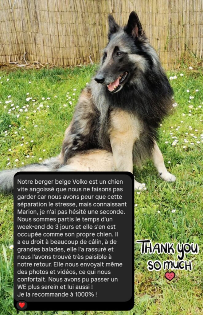 screenshot 20251126 201100