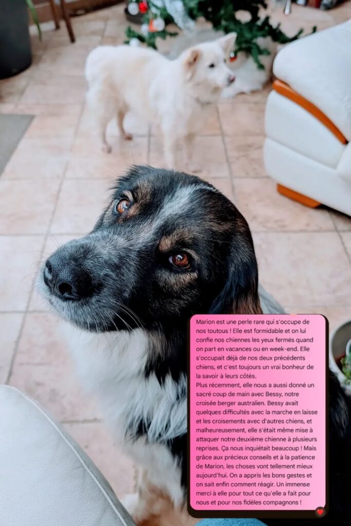 screenshot 20251126 201113