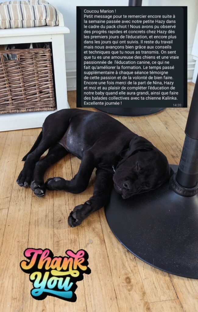 screenshot 20251126 201118