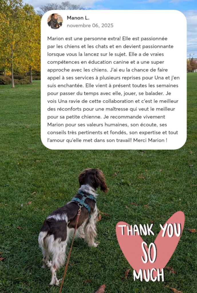 screenshot 20251126 201124