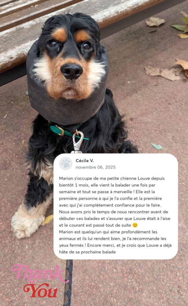 screenshot 20251126 201129