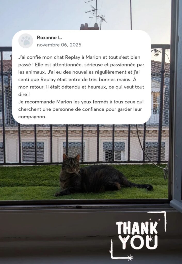 screenshot 20251126 201135