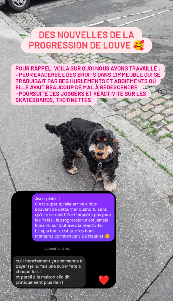 Avis